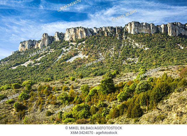Loquiz Sierra. Tierra Estella county. Navarre, Spain, Europe