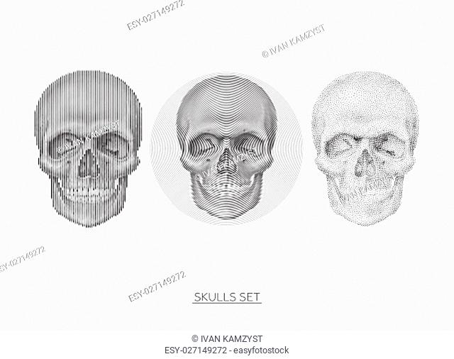 Collection Of geometric anatomical stylized skulls In monochrome. Universal vector skulls set, Illustrations for typography, textile, website, design