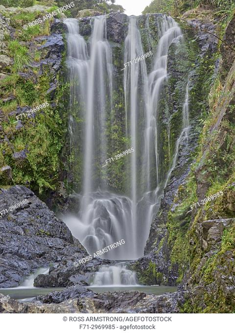 Piroa waterfall in the Waipu Gorge, Northland, New Zealand