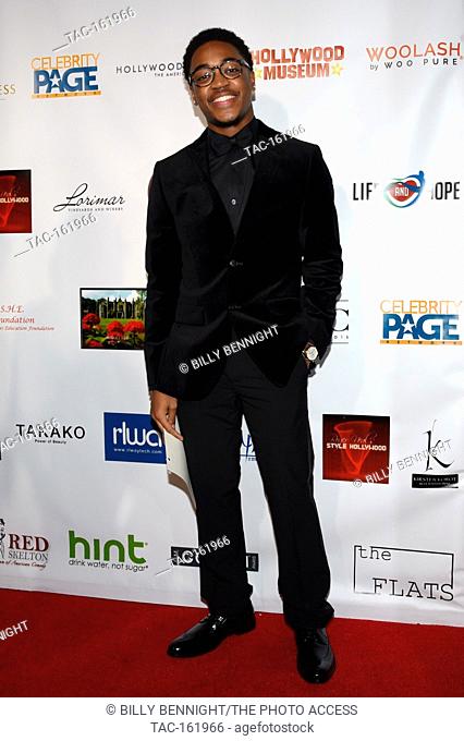 Dorian Davis attends The 3rd Annual Roger Neal Style Hollywood Oscar Viewing Black Tie Dinner Gala and Roger Neal Style Gift Suite at The Hollywood Museum on...