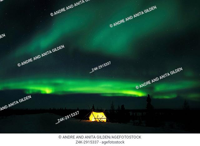 Nightsky and trappers tent lit up with aurora borealis, northern lights, wapusk national park, Manitoba, Canada