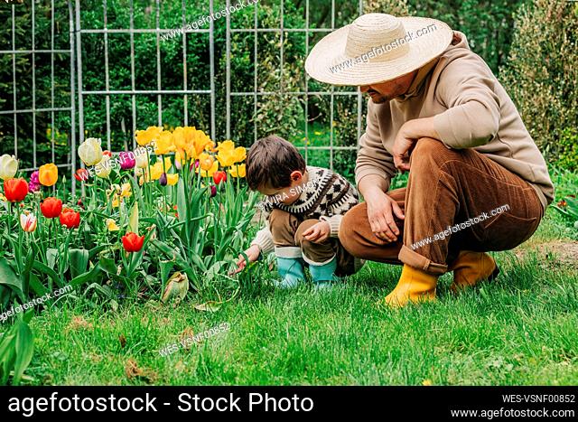 Son and father crouching near tulips flowers in garden