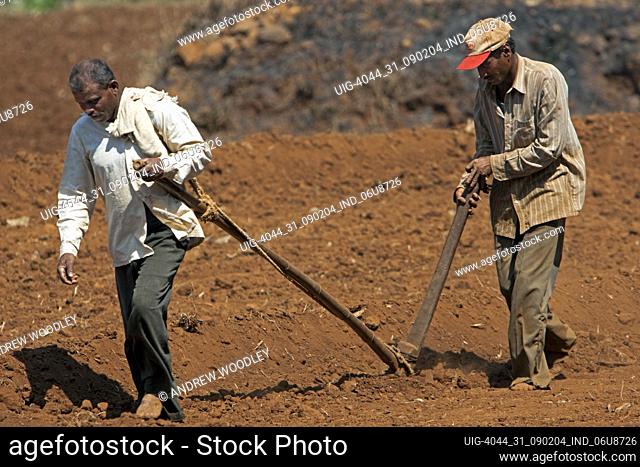 Farm workers plough field by hand near Kohlapur Maharashtra India