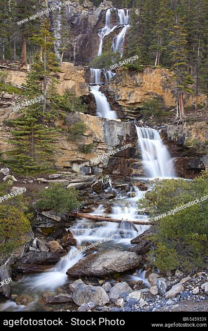 Tangle Creek Falls, Jasper National Park, Alberta, Canadian Rockies, Canada, North America
