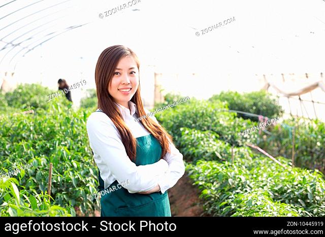 young pretty chinese woman agronomist working in green house