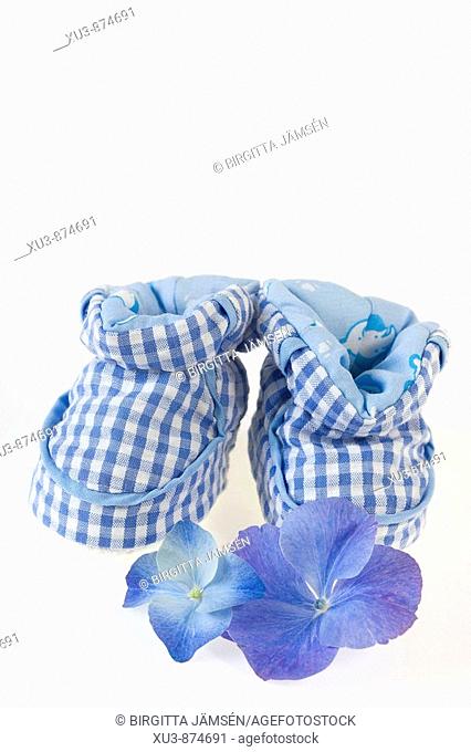 Baby shoes with flowers