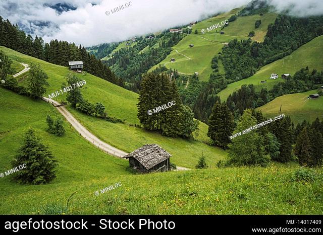 beautiful idyllic nature green meadow landscape of alps mountains range on summer day. austria aerial photo