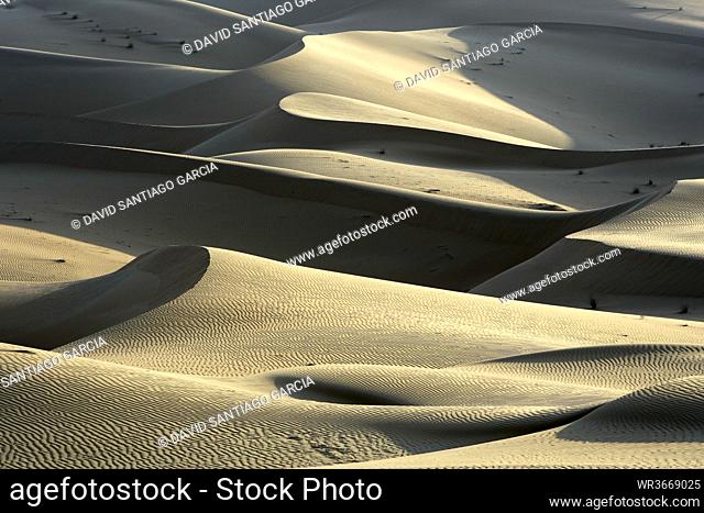 United Arab Emirates, Emirate of Abu Dhabi, Sand dunes at Quarter desert