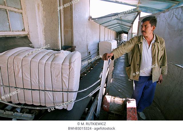 clean cotton wool, pressed and corded in bales ready for cart away, Uzbekistan, Samarkand