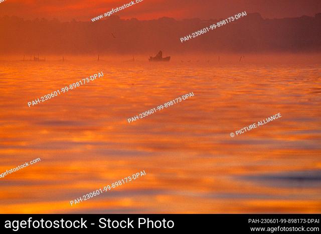 PRODUCTION - 31 May 2023, Mecklenburg-Western Pomerania, Rerik: A fisherman empties his nets with freshly caught Baltic Sea crabs in the fog against a sky...