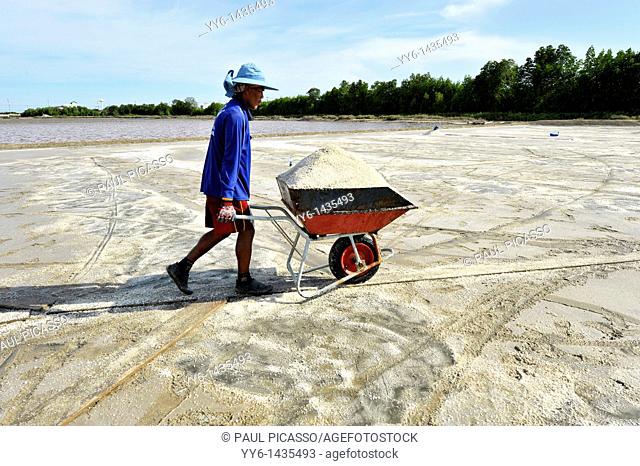 Salt fields of samut sakhon, labourers harvesting salt, samut sakhon , Thailand