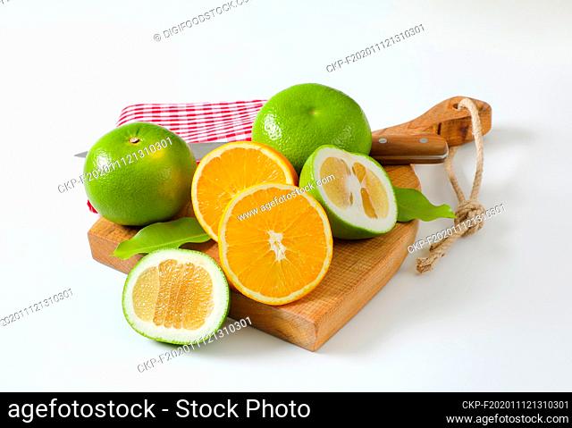 Still life of green grapefruits (sweetie, pomelit, oroblanco grapefruit) and halved orange with knife and tea towel on cutting board