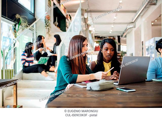 Young businesswomen remote working, looking at laptop in cafe