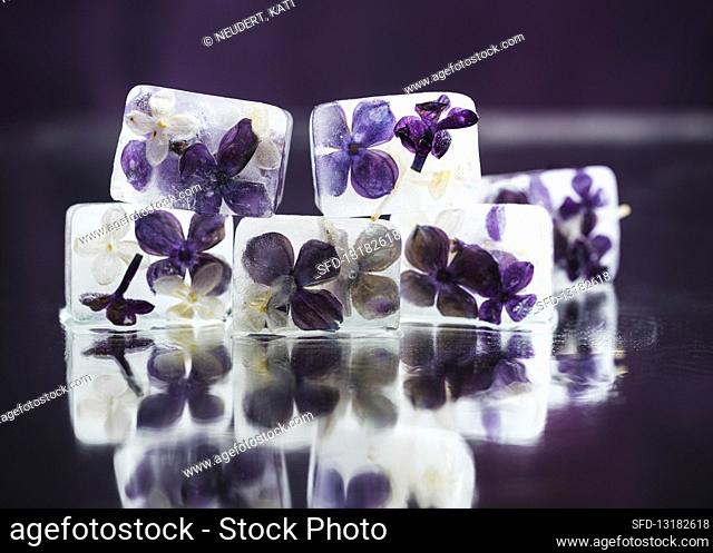 Lilac blossom ice cubes