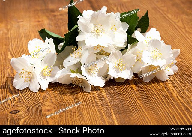 several dirty flowers of jasmine on a wooden table, photo close-up