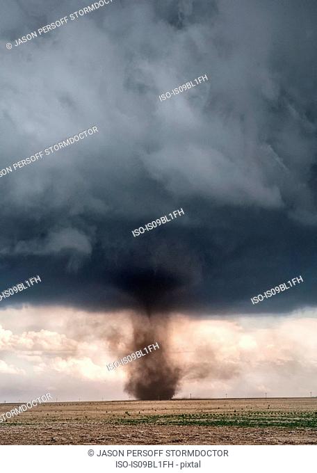 Landspout transforms into mesocyclone tornado under cumulonimbus, Cope, Colorado, US