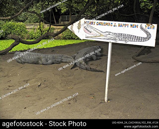 Festive Christmas and new year sign Cachikaly crocodile pool Bakau The Gambia