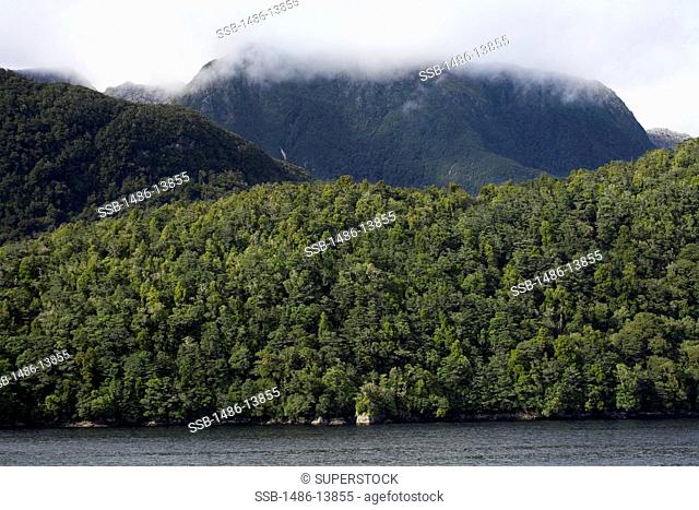 Bowen Channel in Dusky Sound, Fiordland National Park, South Island, New Zealand