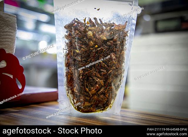 18 November 2021, Mexico, Mexiko-Stadt: Grasshoppers seasoned with garlic, oil and chili are sold in a bag at a market. In Mexican cuisine insects come very...