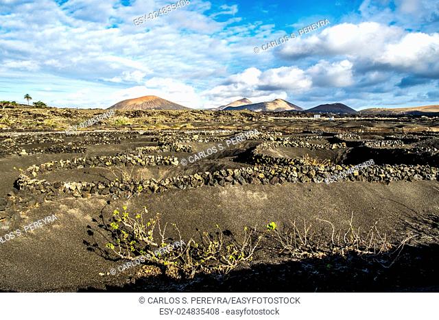 Volcanoe landscape in Lanzarote, Canary Islands, Spain