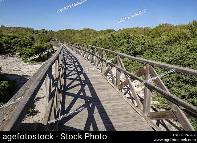 It is Comu wooden walkway, Ã. Area Natural d'Especial Interès, included within the Natural Park of s'Albufera, Mallorca, Balearic Islands, Spain