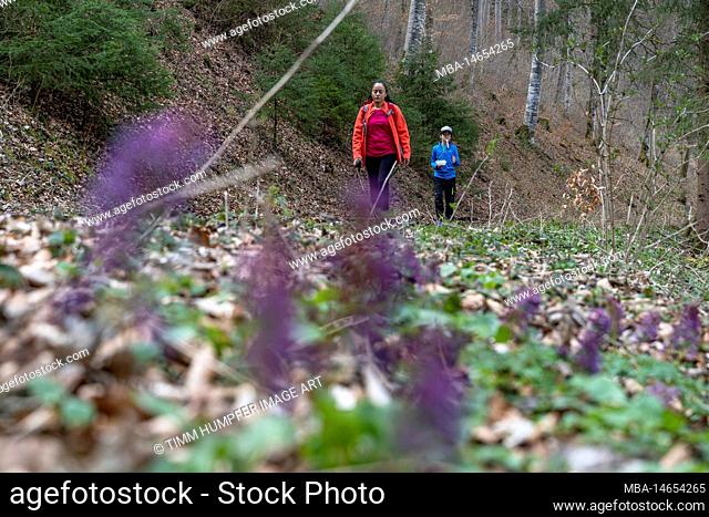 Europe, Germany, Southern Germany, Baden-Württemberg, Danube Valley, Sigmaringen, Beuron, mother and son hiking in the forest