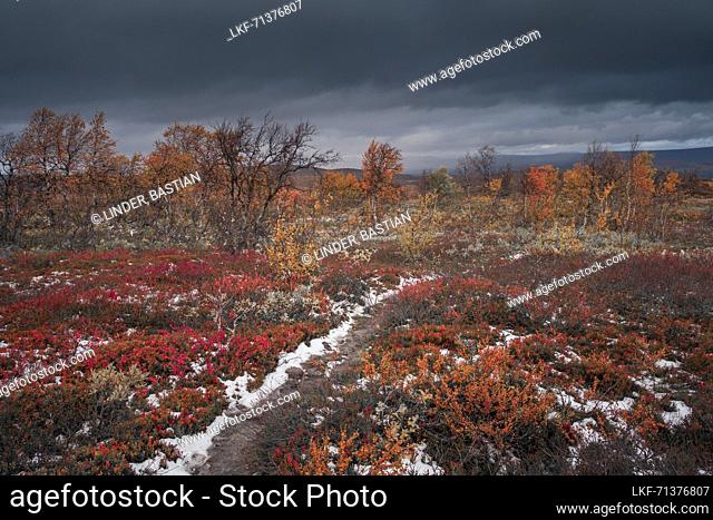 Kungsleden hiking trail in Pieljekaise National Park in autumn with snow in Lapland in Sweden