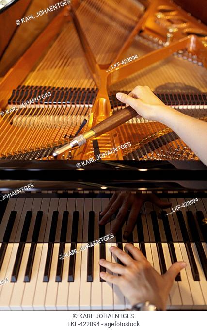 Man tuning a concert piano, Schimmel piano company, Brunswick, Lower Saxony, Germany
