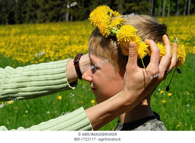 Boy, ten years, getting a dandelion crown placed on his head