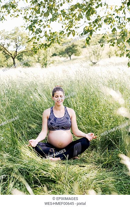 Young pregnant woman doing yoga exercises in nature on a green meadow