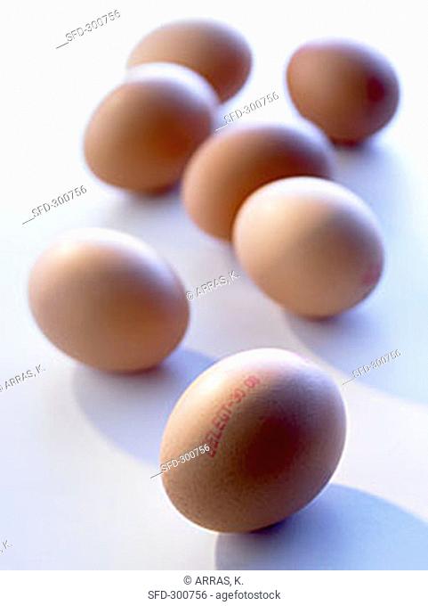 Brown eggs with stamp showing laying date
