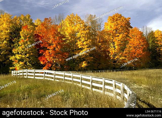 Autumn scenic in Michigan's upper lower peninsula near Petosky