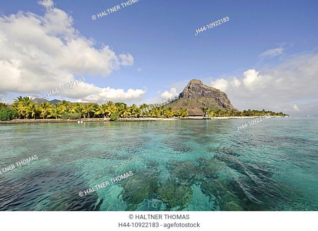Maurice, Mauritius, Africa, Indian ocean, hotel Paradis, sand, palms, beach, seashore