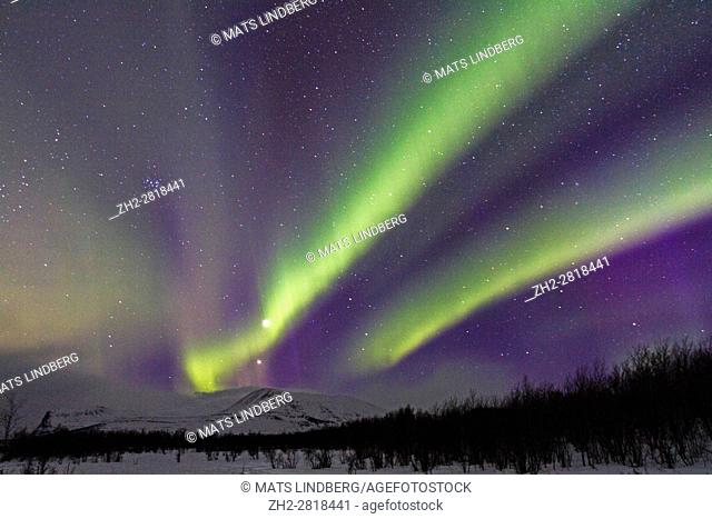 Northern light, Aurora borealis, over Nikkaluokta, mountains in background, auroa are violett, green, winter season, Kiruna, Swedish Lapland, Sweden
