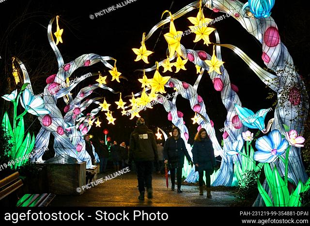 19 December 2023, Saxony-Anhalt, Halle (Saale): Visitors walk through a trellis of colorful illuminated trees. At Bergzoo Halle