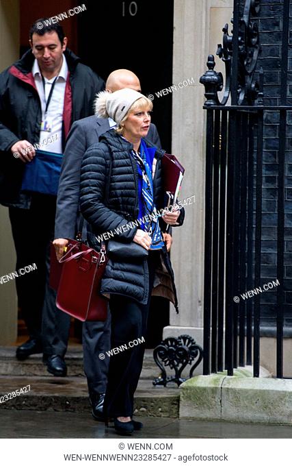 Cabinet Members arrive and depart from the weekly Cabinet Meeting held in 10 Downing Street. Featuring: Anna Soubry MP, Minister for Small Business