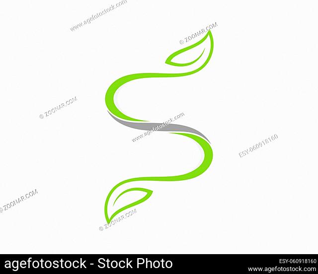 S Letter with green twigs leaf