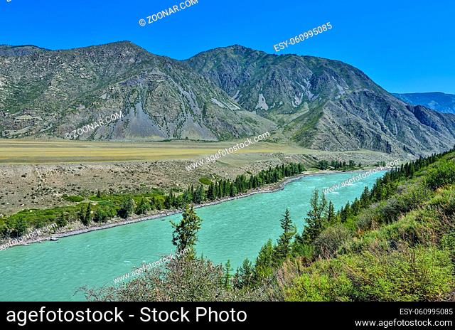 Turquoise Katun River in a mountain valley - beautiful view from the colorful rocks at sunny summer day, Altai republic, Russia