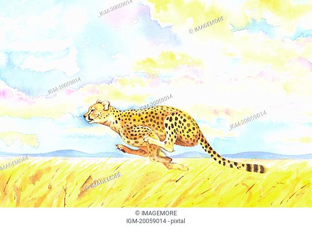 Animal, Watercolor painting of a leopard running on prairie