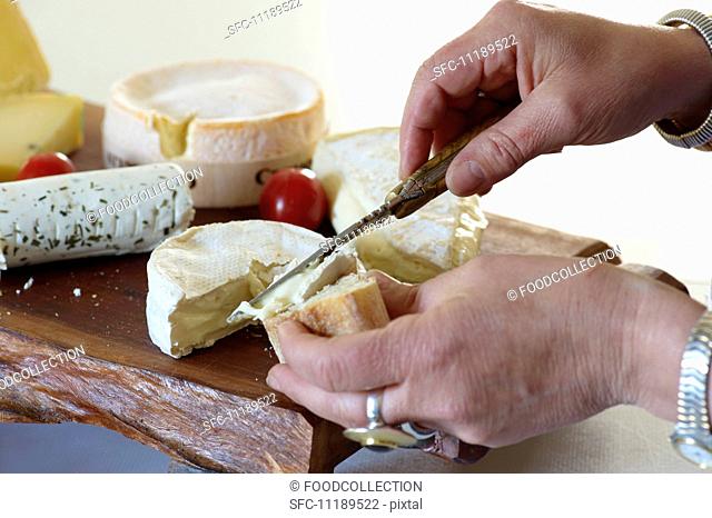 Slices of baguette being spread with Camembert, assorted types of cheese on a chopping board