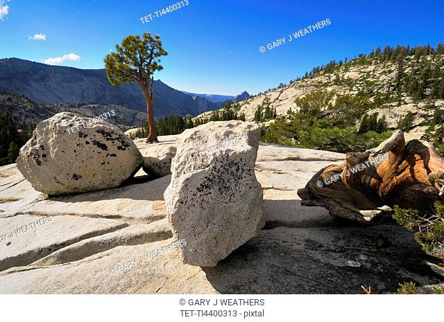 USA, California, Tioga Pass, Granite boulders