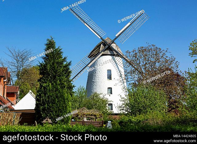 Germany, Senden (Westphalia), Muensterland, Westphalia, North Rhine-Westphalia, NRW, Senden-Ottmarsbocholt, windmill, Hollaenderwindmuehle, former corn mill
