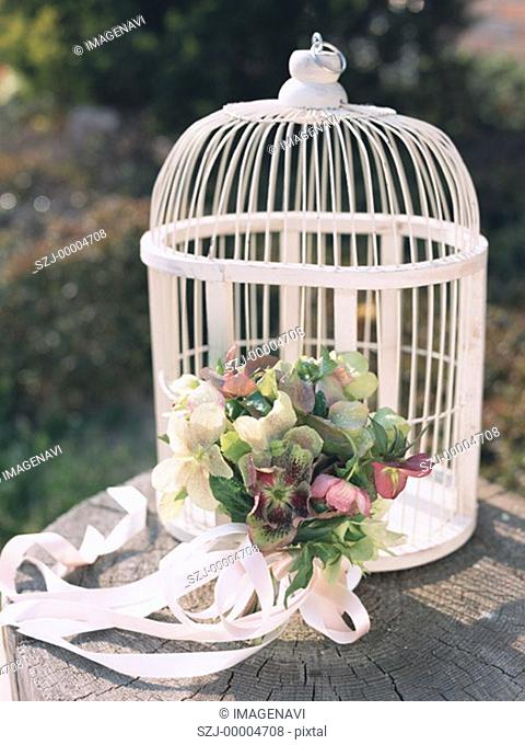 Bird Cage and Bouquet