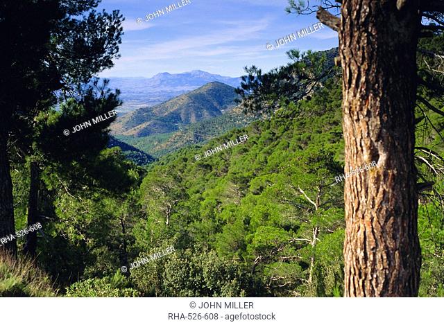Sierra de Espuna, Murcia Province, Spain, Europe