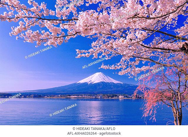 Beautiful view of Mount Fuji