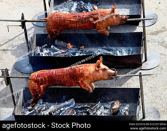 27 August 2023, Berlin: Two suckling pigs rotate on a spit over a burning grill each. Photo: Soeren Stache/dpa. - Berlin/Berlin/Germany