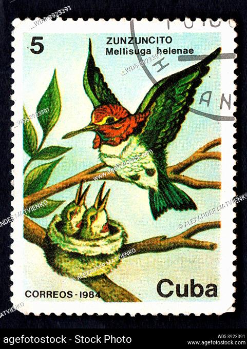 CUBA - CIRCA 1984: Stamp printed in CUBA showing image of Hummingbird with the description Mellisuga helenae from series Fauna, circa 1984