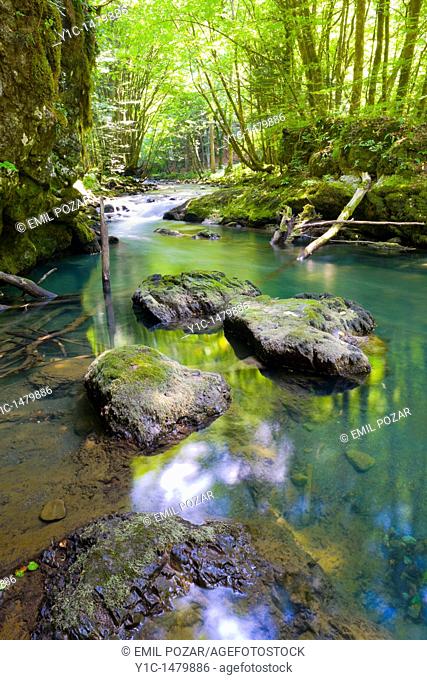 Curak creek in Zeleni vir natural resort in Croatia near Skrad