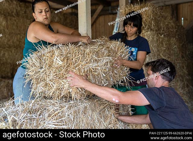 PRODUCTION - 26 August 2022, Bavaria, Obernsees: Florian Hoppe, board member at Fachverband Strohballenbau (FASBA e.V.), inserts a straw bale into a planned...