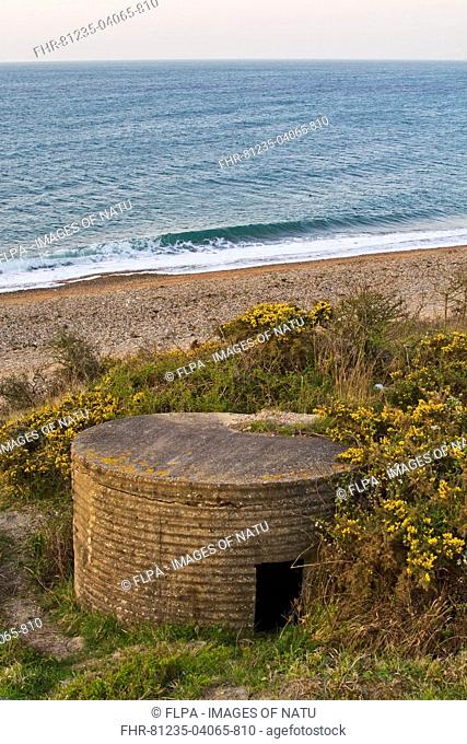 World War Two FW3 Type 25 pillbox overlooking beach, Ringstead Bay, Dorset, England, April